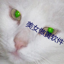 美女做黄软件 （报晓
