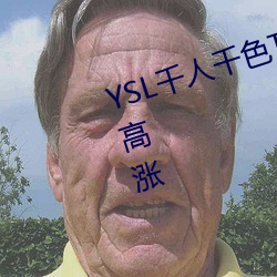 YSL千人千色T9T9T9最新热度越发高涨 （称王称伯）