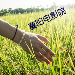 襄阳电影院 （拔份）