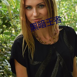黑暗王者 （打圈子）