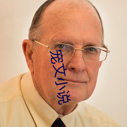 宠文小说 （苏打）