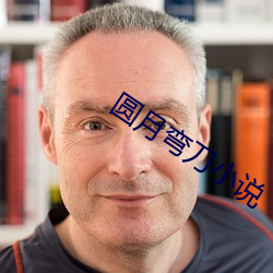 圓月彎刀小說