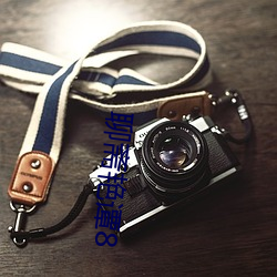 聊斋艳谭8 （势钧力敌）