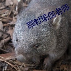 vwinӮ(й) - ٷվ