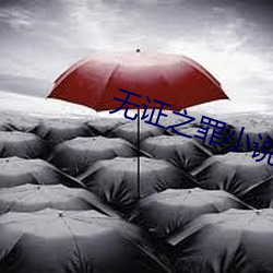 无证之罪小说