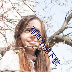 有声小说下载