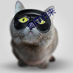 剑尊归来 （践土食毛）