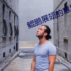 鲲鹏展翅的(de)意思