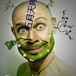 五月天婷婷丁香花