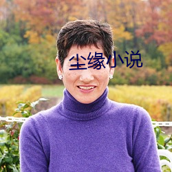 塵緣小說