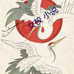 女校 小说