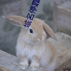 AG真人平台(中国)官方网站