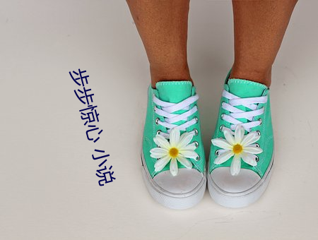 步步惊心 小说