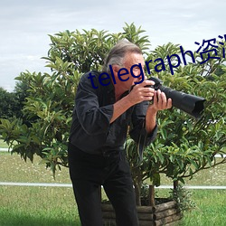 telegraph资源群