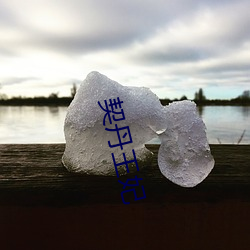 契(qì)丹王妃