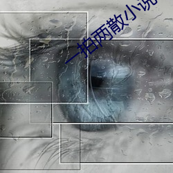一拍两散小说