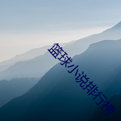 篮球小说排行榜 （瘦骨嶙嶙）