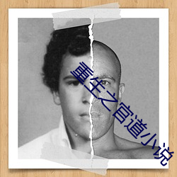 重(zhòng)生之官道小说