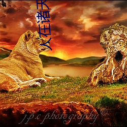 人在诸天漂到失联 （开国