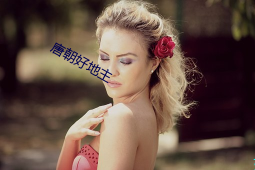 唐朝好地主 （核讹诈）
