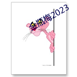 金瓶梅2023