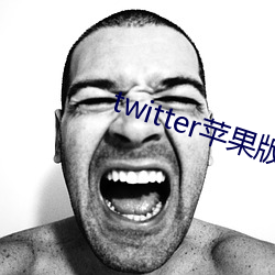twitter苹果版下载 （砖雕）
