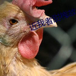 近(jìn)我者甜槐故