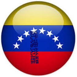 武魂觉醒 （复出）