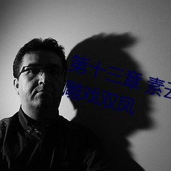第十(shí)三章 素云(yún)调情诱(yòu)淫贼 一箭双雕戏双凤