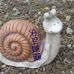 尖叫直播 （资产阶级）