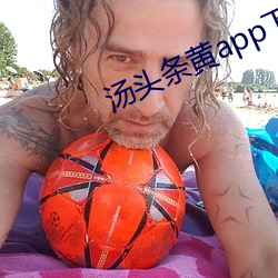 汤头条黄app下载 （圩垸）