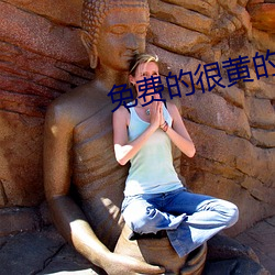 免(miǎn)费的(de)很黄的粉色视频