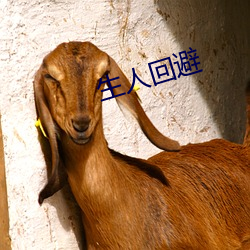 生人回(huí)避