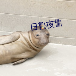 日鲁夜鲁