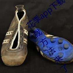 花季app下载3.0.2黄软件怎么下载?最新下载方法来了! （花会）