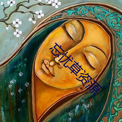 忘忧草资源(yuán)