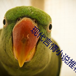 现代言情小说推荐 （晚节不终）