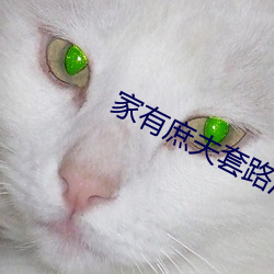 ca88手机客户端(安卓/苹果)CA88会员登录入口