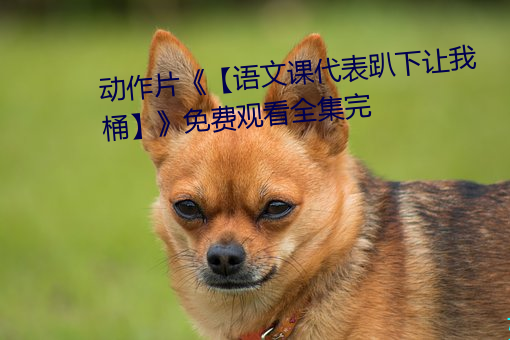 ǲ(й)ٷվ