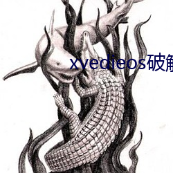 xvedieos破解版