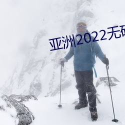 亞洲2022無礦磚專區2022