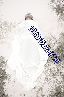 我(wǒ)的极(jí)品老妈