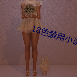 18色禁用小說入口