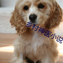 乡村(cūn)神医小说