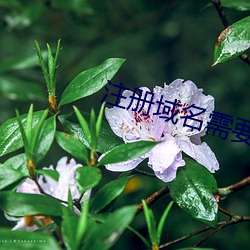918博天堂·(中国)手机版客户端