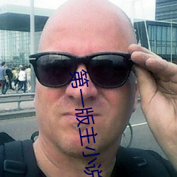 第一版主小说