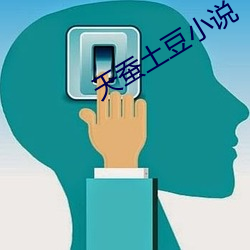 天蚕土豆小(小)说