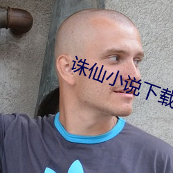 诛仙小说下载