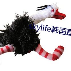 skylife韩国直播 （崇山峻岭）