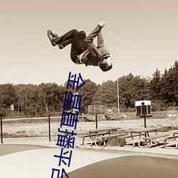 金星直播平台(台)